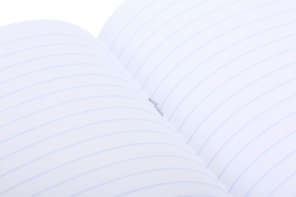 Тетрадь школьная 12 листов в линейку в ассортименте Мечты сбываются