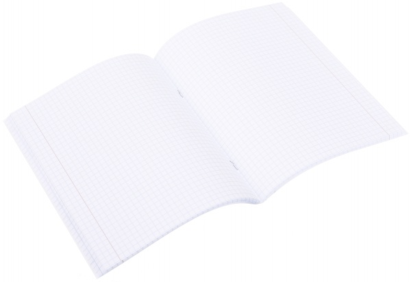 Тетрадь школьная Graffiti 96 листов клетка Nota Bene