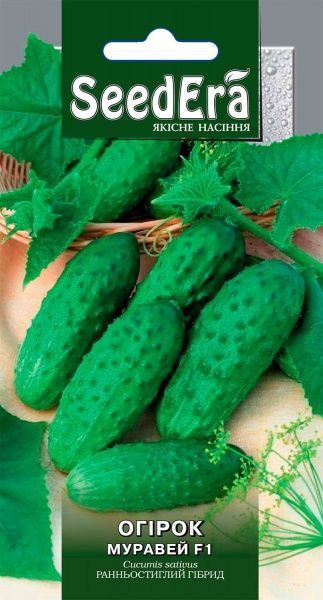 Насіння Seedera огірок Муравей F1 10 шт.