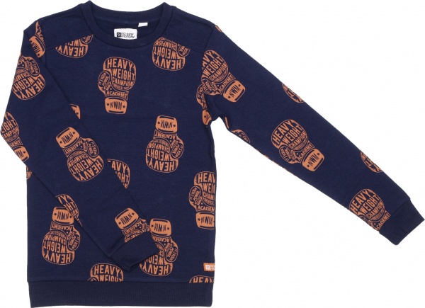 Джемпер для мальчика NWM Бокс р.152 синий с принтом U44230-1 