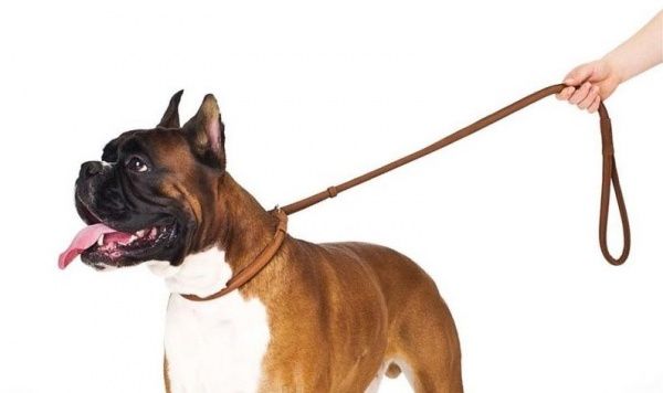 Поводок-удавка WAUDOG Soft круглый 1х135 см коричневый