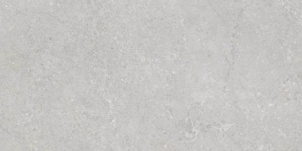 Плитка Emigres VARSOVIA XL GRIS 60×120 