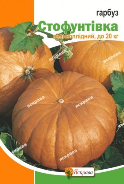 Семена Яскрава тыква Стофунтовка пакет гигант 20г (4823069861469)