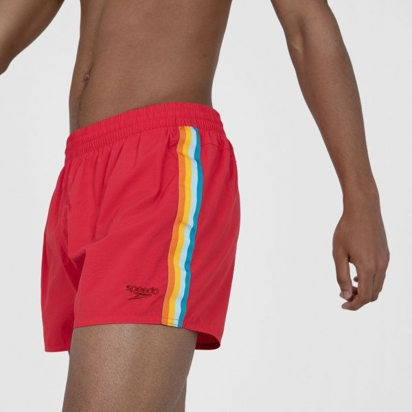 Шорты Speedo RETRO 13