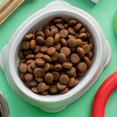 Корм для домашних животных