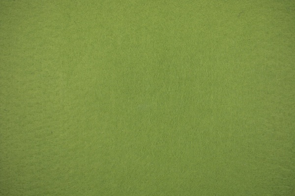 Фетр болотный,  1 мм, 42,5x33 см