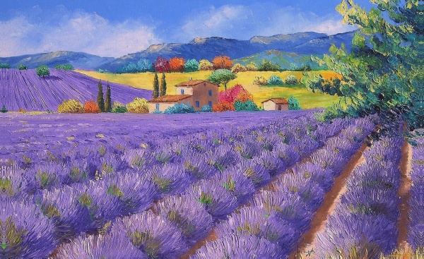 Репродукция Лавандовое поле 50x80 см Арт Фемелі 