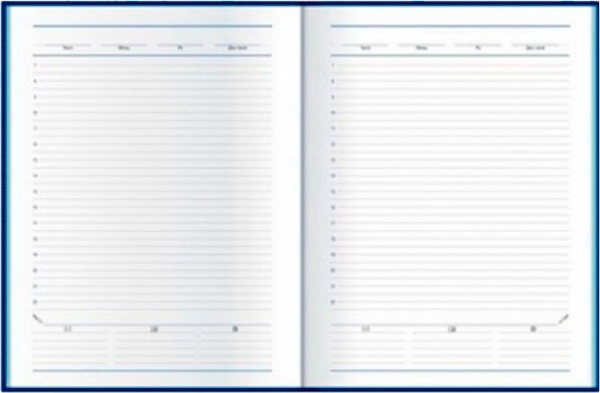 Дневник недатированный BASIC синий Economix A5