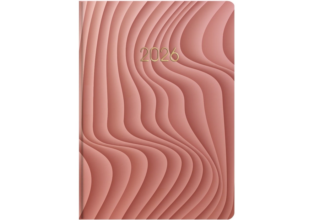 Щоденник датований Ілюзія Economix A5 2026 бежевий