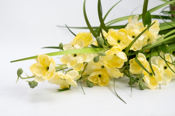 Растение декоративное Окопник желтый в горшке 75 см Девилон