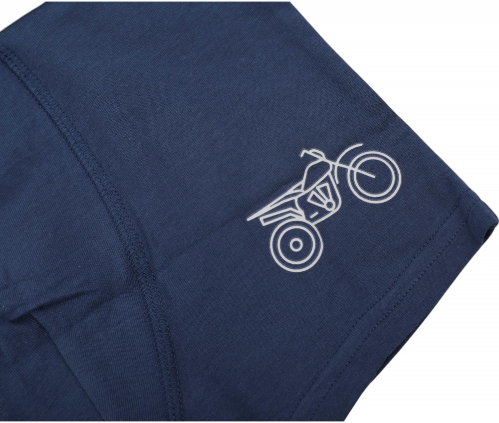 Набор трусов для мальчиков HW 3 пары боксеры р.134-140 голубой с синим N4-O4