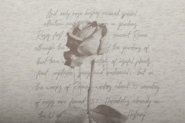 Футболка для дівчинки 732-430-5 р.128 молочний 