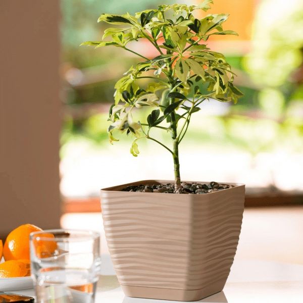 Вазон пластиковий Form Plastic Сахара міні Квадро-19 квадратний 4,2л лате 