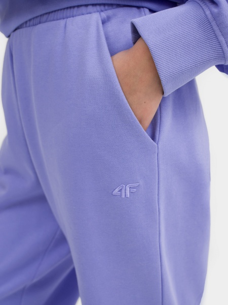 Штани 4F TROUSERS CAS 4FSS23TTROF386-52S р. S фіолетовий