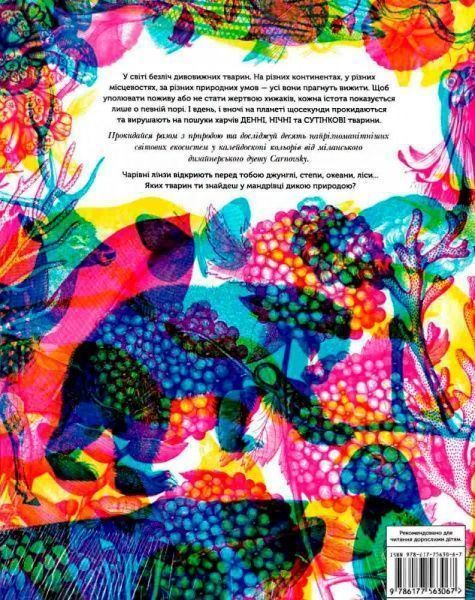 Книга Рейчел Уильямс «Приховані дива + чарівні лінзи» 978-617-7563-06-7