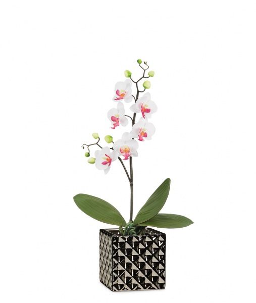 Кашпо квадратне Scheurich Crystal квадратний 1,323л чорний металік 