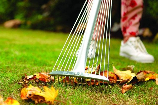 Грабли зубчатые Spear&Jackson регулируемые для газонов EXPRAKE