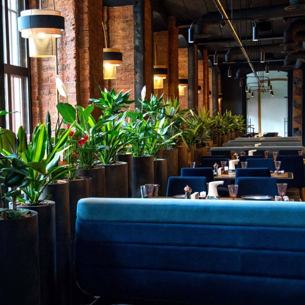 Спрей-полироль Compo Сomplete 500 мл (6357)