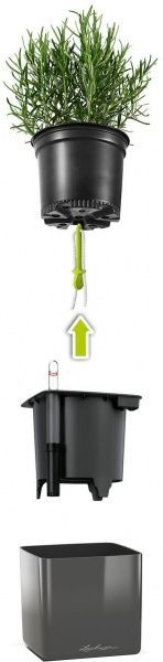 Вазон декоративный Lechuza Green Wall Home Kit Glossy квадратный 1л красный (13525) 