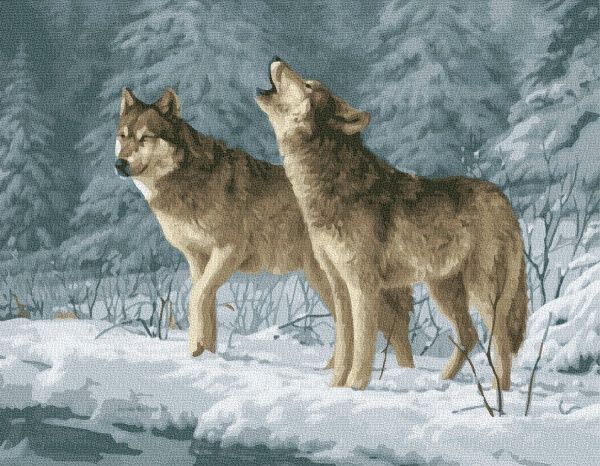 Картина за номерами Пара вовків BookOpt 