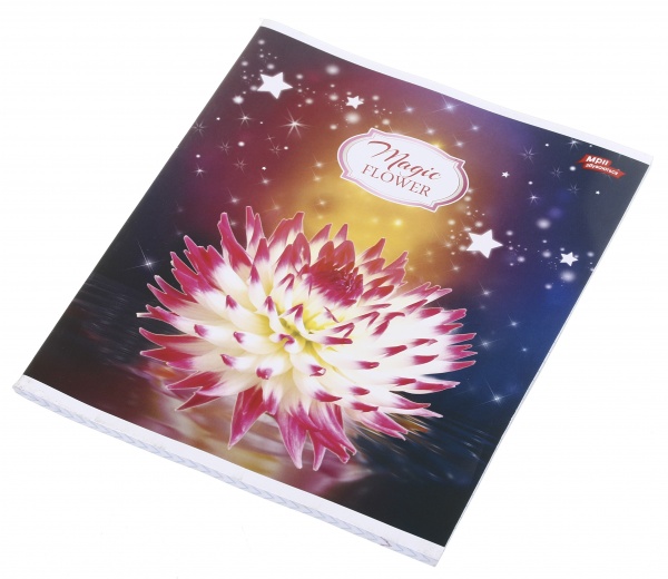 Зошит шкільний 60 аркушів у клітинку в асортименті Мрії збуваються