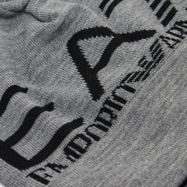 Шапка EA7 1A301-274903-00048 M сірий