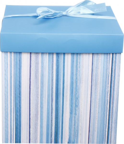 Коробка самозбірна EBXL9801 25х25 см