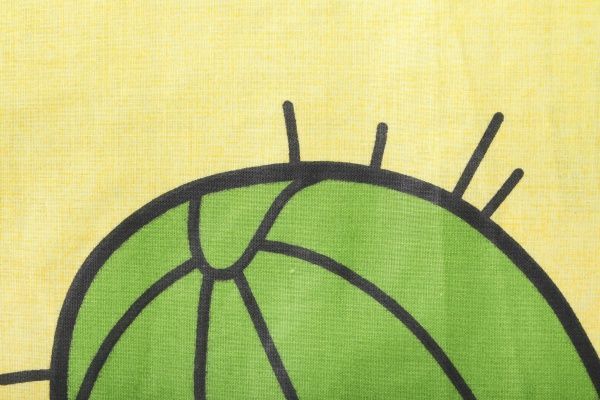 Комплект постельного белья Україна «Кактус» желтый 