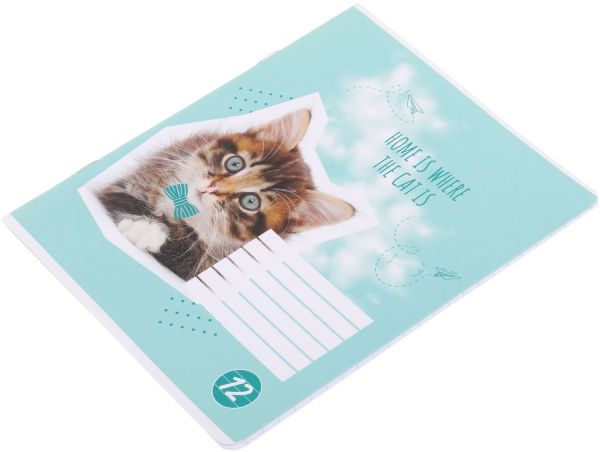 Зошит шкільний Cat 12 аркушів лінія 2 Мрії збуваються
