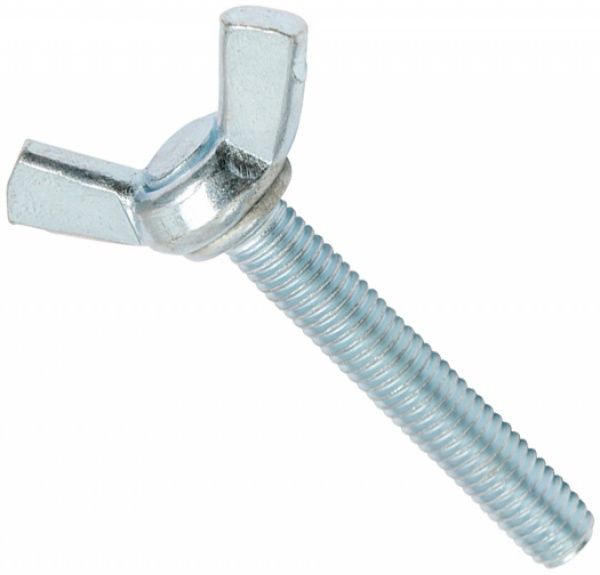 Винт  метрический ЦБ DIN 316 5x30 мм 6 шт EXPERT FIX