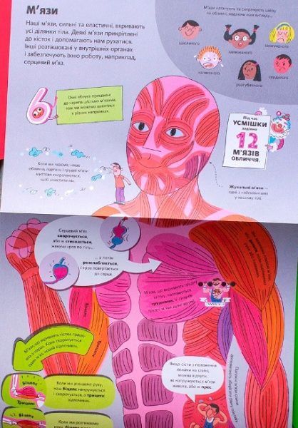 Книга Міна Лейсі «Велика книга про тіло» 978-617-7688-09-8