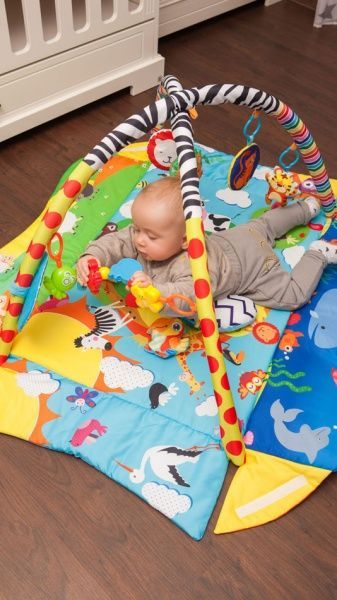 Развивающий коврик Lionelo Anika LO.AN01