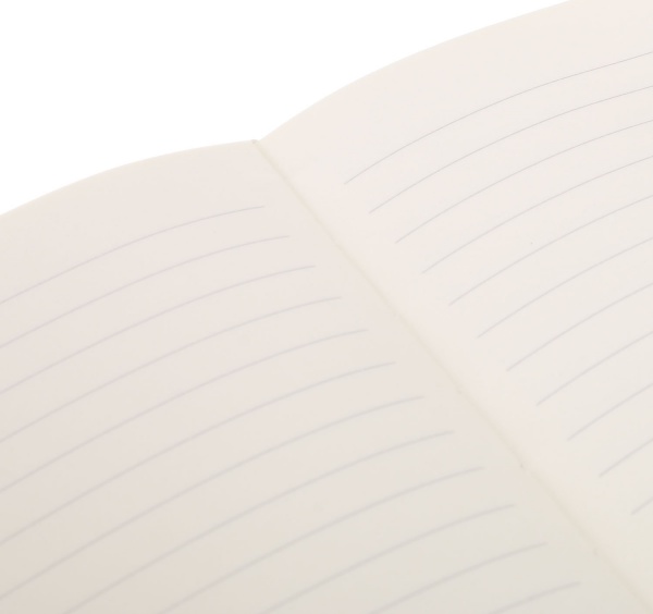 Книга для записей Геометрия 4 А5 96 листов