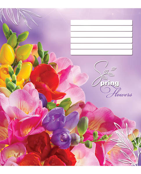 Тетрадь школьная 12 листов в клетку в ассортименте (4820036480111)