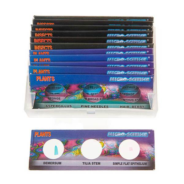 Набор для экспериментов Eastcolight 12 слайдов для изучения под микроскопом ES10311