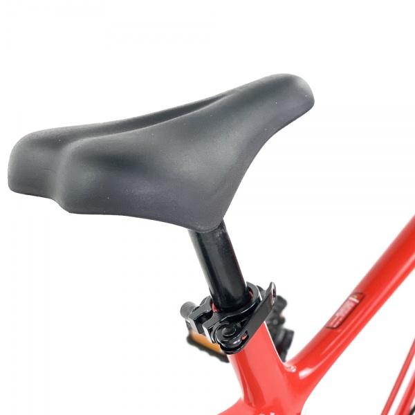 Велосипед детский RoyalBaby Chipmunk Moon 16