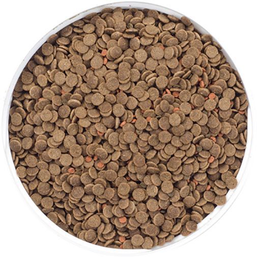 Корм Природа для рыб Биовит Сомики 10г