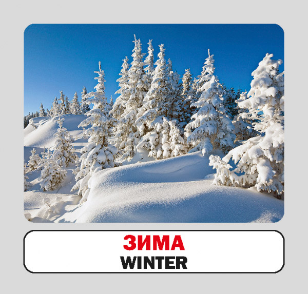 Книга «Времена года. Набор карточек» 9786177686278