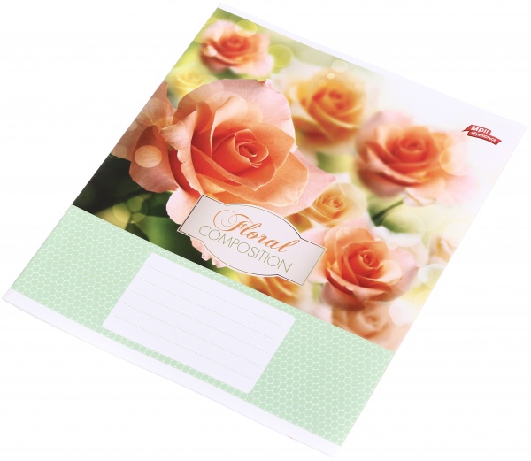 Зошит шкільний 12 аркушів у косу лінію в асортименті Мрії збуваються