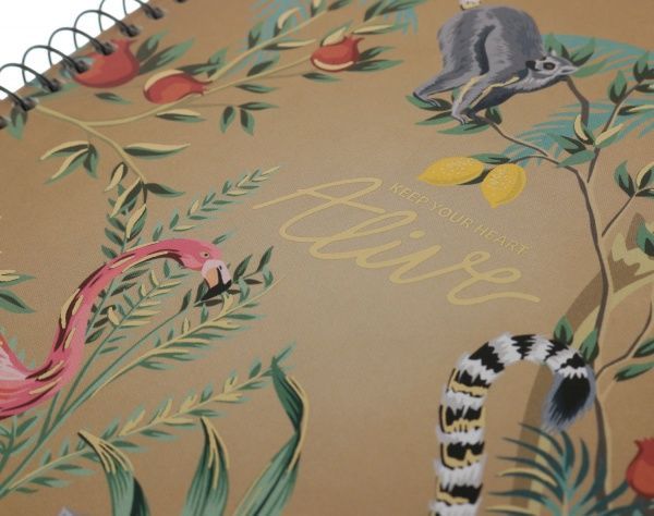 Зошит шкільний А5 96 аркушів у клітинку A5-SC-096-6056K Student Школярик