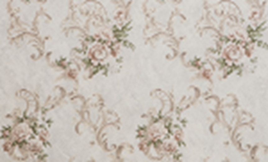 Шпалери вінілові гарячого тиснення ASSORTI 952AS57 1,06x10,05 м