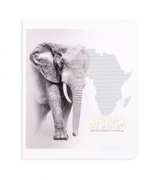 Комплект зошитів Тварини Африки 96 аркушів у клітинку золото 10 шт. Поділля