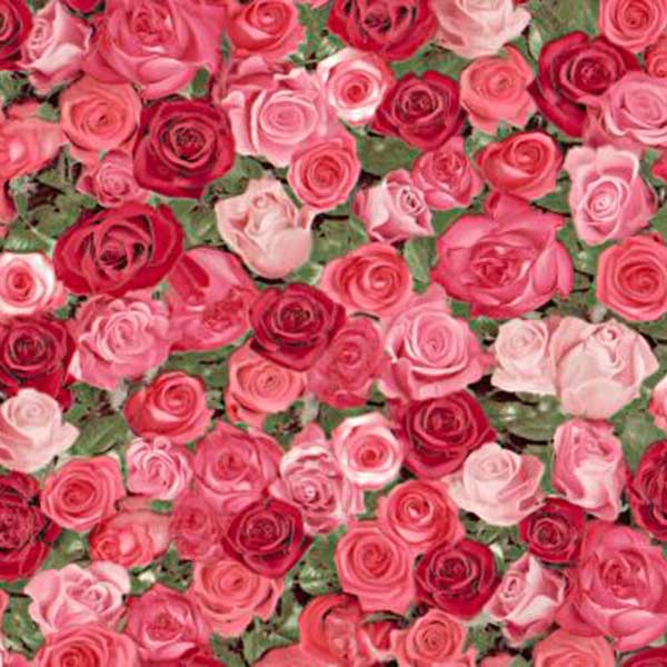 Слов'янські шпалери Expromt B49.4 Розарій 5562-12 0.53x10.05 м