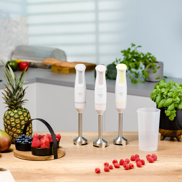 Блендер ручной Zelmer ZHB4561I 