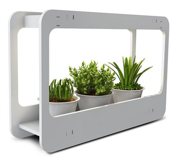 Jazzway PMG 002 15 Вт IP20 белый 