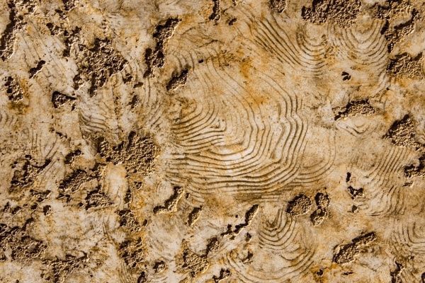 Декоративная штукатурка Feidal Travertino Kalkputz 10 кг белый