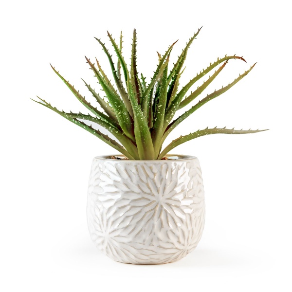 Растение декоративное DH-FLOWERS-13 GREEN/BEIGE MVM