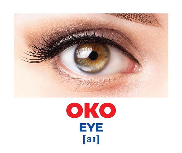 Набор учебный «Геній з пелюшок. Будова тіла» 482-307-615-167-6