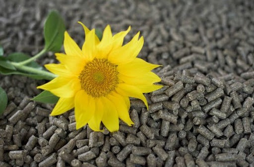 Пеллеты Eco из шелухи подсолнуха 15 кг 