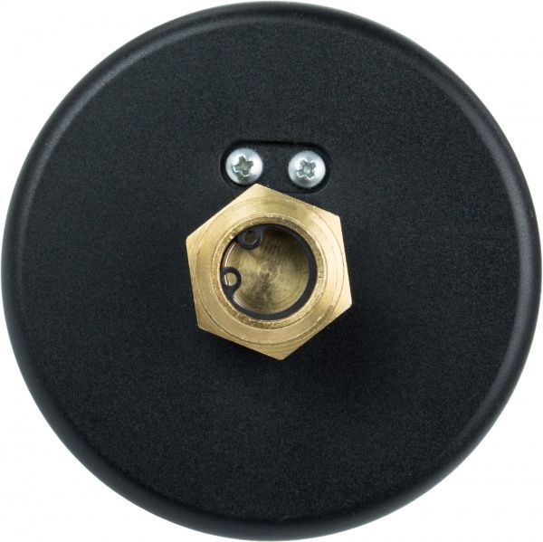 Термоманометр Cewal Д80 1/2